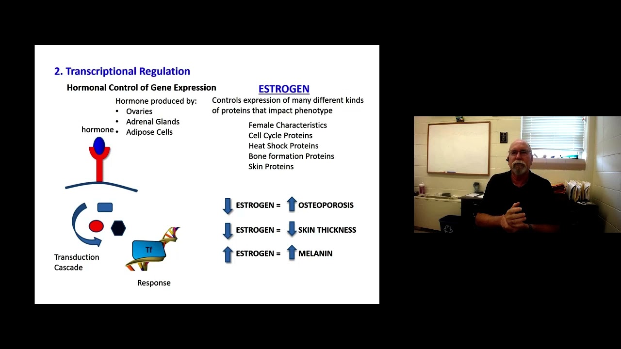GG   Gene Regulation Part 2