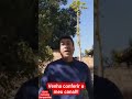 #funk #mc #trap #popular #funk #tiktok #viralvideo