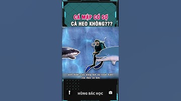 thí nghiệm cá mập và cá heo