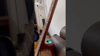 How to Add Fret Markers to Classical Guitar