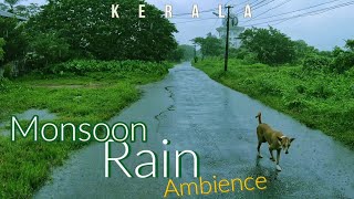 Monsoon Rain Ambience in Kerala / Walking in rain with umbrella sounds for sleeping / 4K ASMR screenshot 5