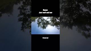 freestyle fpv