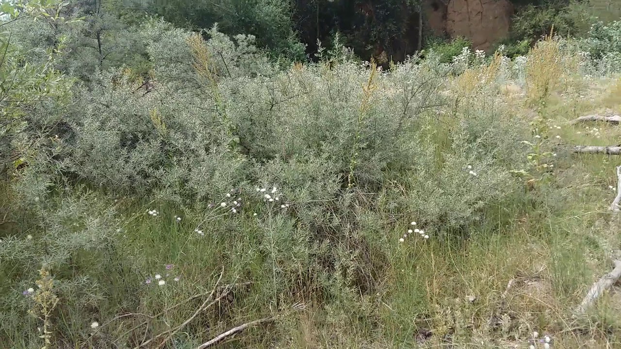 Укрепление истока канала Неволька .Станица Марьинская. - YouTube