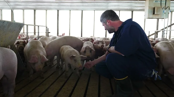 Cultivating a Sustainable Future