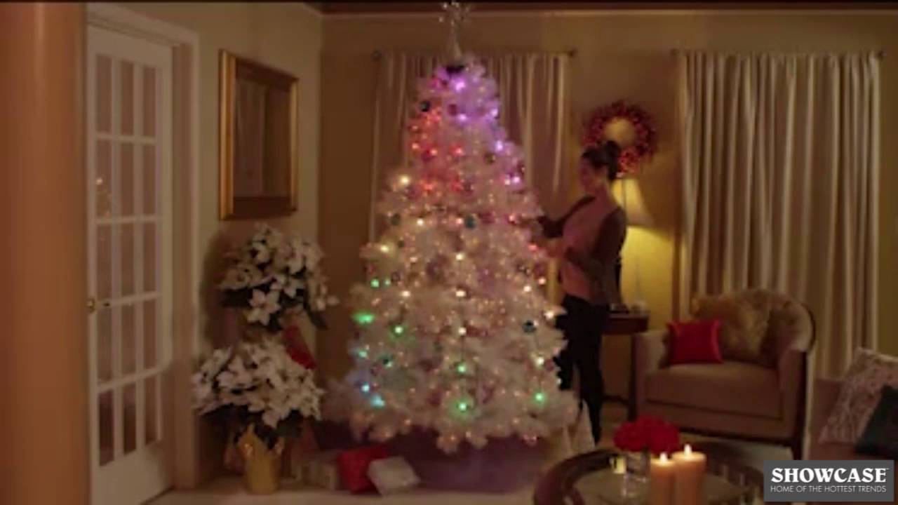 Tree Dazzler Reviews Too Good To Be True