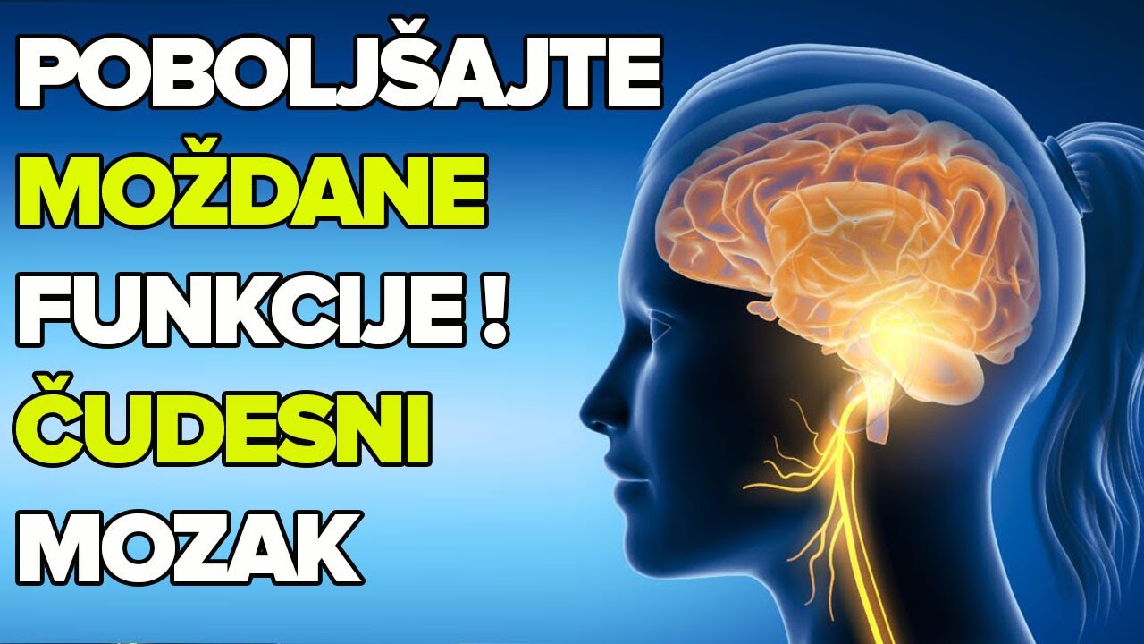SUPER HRANA ZA MOZAK I BRILJANTNU MEMORIJU! Dr Mihajlović