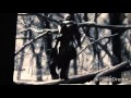 Assassin&#39;s Creed Music Video