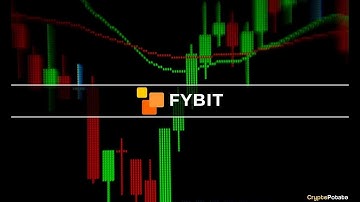 Oracle XRP vs BCH Bitunix VS Fybit Trading 2 Exchanges Overnight