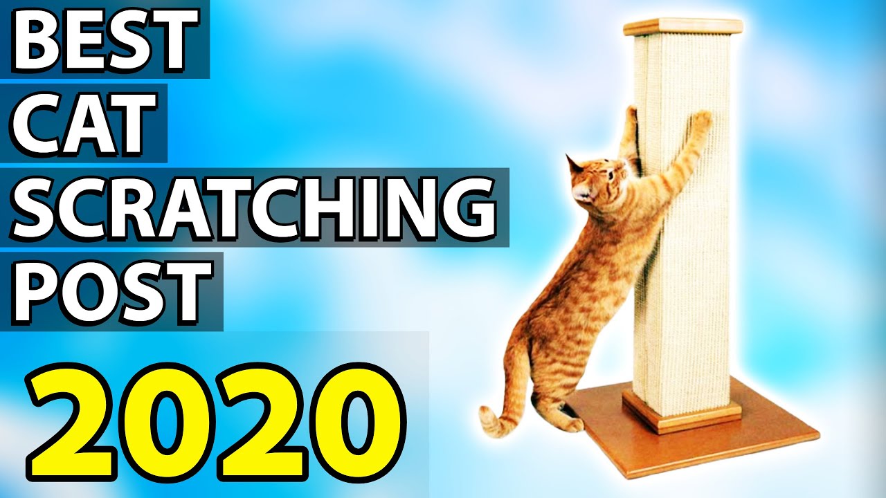 jumbo cat scratching post