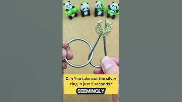 Brain Teaser Puzzle 🧠 Can You take out the silver ring in just 5 seconds?