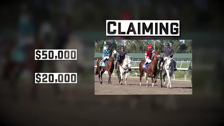 #TheAction: The Claiming Game Part II