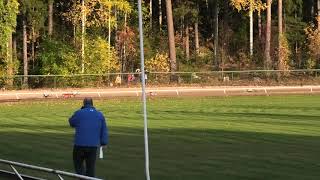 Tampere 3.10.20 Lähtö 63: whippet, urokset, VMR 2020 A-finaali, 280 m by High Caliber racing whippets 337 views 3 years ago 31 seconds