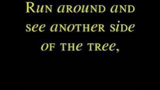 Sonata Arctica - The Cage (Lyrics)