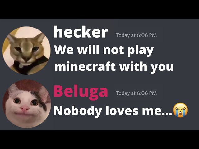 Beluga Memes