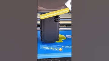 Dual Extruder Printing