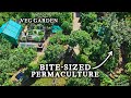 Stunning tiny permaculture backyard kitchen garden with 30 fruit trees
