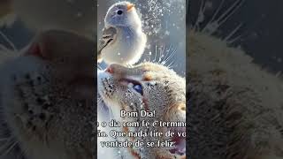 Jesus Cristo é o caminho a verdade e a vida inscreva no canal compartilhe nas redes sociais