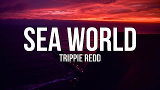 Trippie Redd - SEA WORLD (Lyrics)