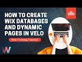 How To Create Wix Databases and Dynamic Pages in Velo | Wix.com Tutorial