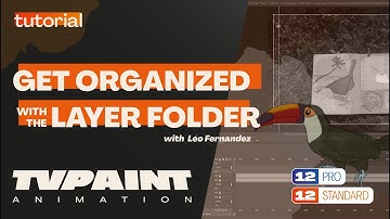 Get organized with the Layer Folder