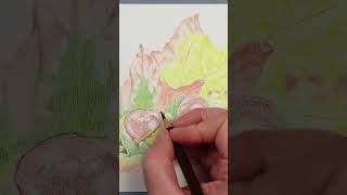 My Coloured Pencil Drawing Process... Art Tips #colorpencil #arttips #drawing #beginnersdrawing