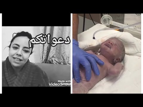 اخر ماقالته اليتوبرز شهيوات نينا وماذا حدث لمولودها هل موته حقيقة أو إشاعات