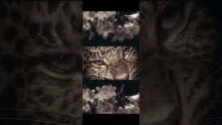 Si̇li̇nmi̇ş Hece