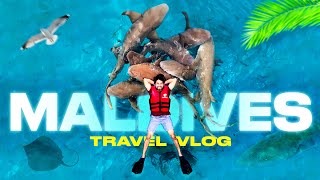 Travel vlog - MALDIVES Travel Vlog | Shark Swimming | Male | Maafushi | Gulhi