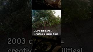 Cyber-shot P32: a solid, CHALLENGING 2003 digicam!