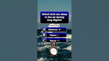 The Instant IQ Test — Try It ⚡ #iqtest #fastquiz #angloquiz