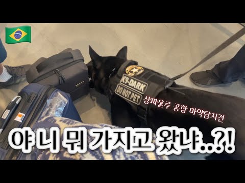 브라질 국내 여행 | 공항 마약 탐지견한테 호되게 걸린 썰 푼다 | 내 수화물 늦게 도착한 썰 푼다 |