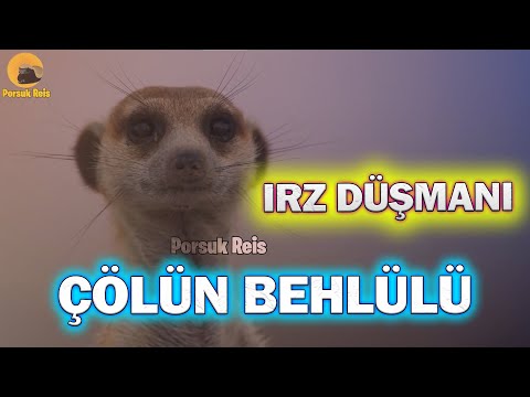 BU IRZ DÜŞMANI AŞİRET REİSİNİN KIZINA GÖZ DİKTİ | Komik Belgesel #porsukreis