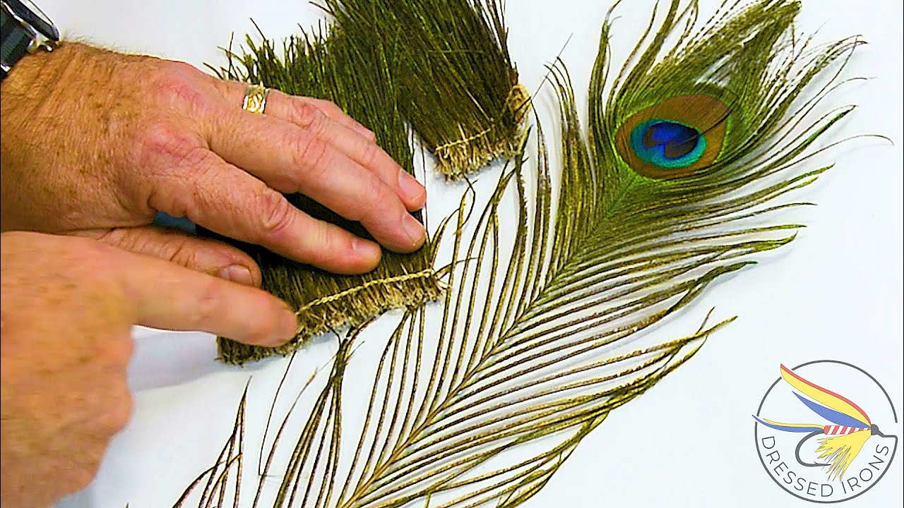 Fly Tying Supplement Peacock Herl YouTube