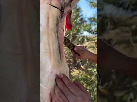 What’s your go-to tool for the backcountry?