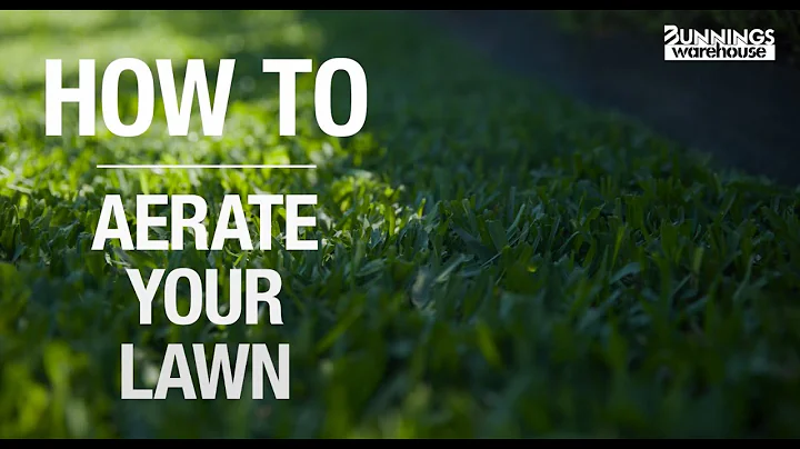 How To Aerate Your Lawn - Bunnings Warehouse