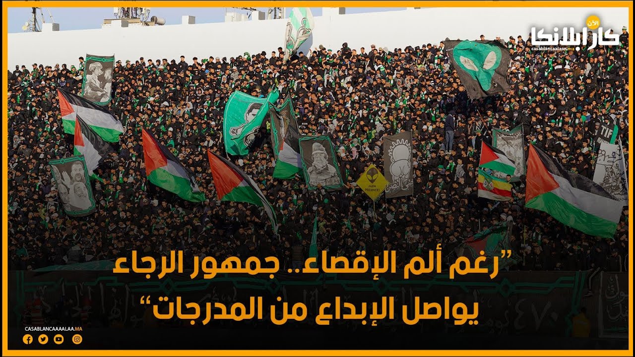 “رغم ألم الإقصاء.. جمهور الرجاء يواصل الإبداع من المدرجات”