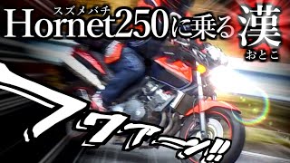 【字幕あり】スズメバチに乗る漢。ホーネット250DX/Honda HORNET(MC31)参考動画