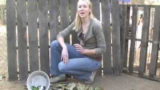 Building a Compost Pile