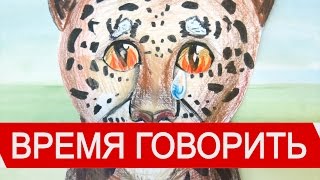 «Время говорить»: Про год экологии и детей «Время говорить»: Про год экологии и детей