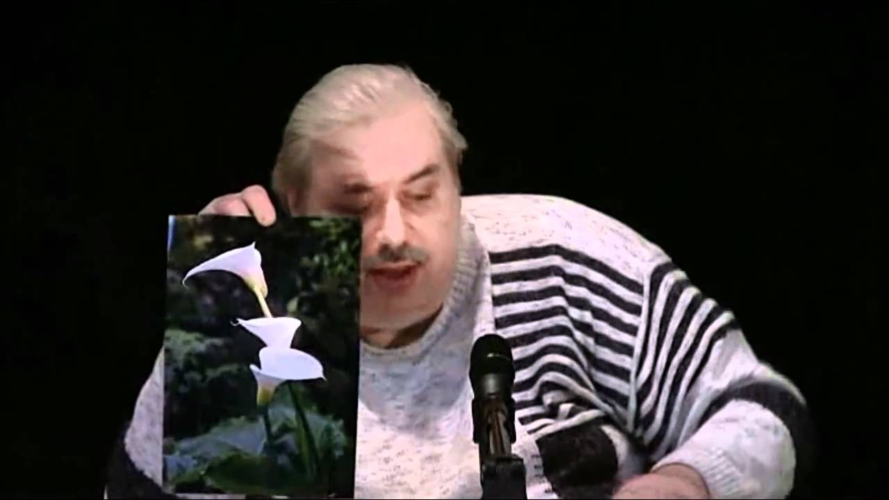 Фильм академик левашов онлайн Фильм академик левашов онлайн