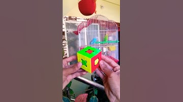 Rubik