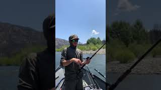 Salmon Fishing For Spring Run Chinooks On California’s Trinity River! Catch & Release Fishing Video