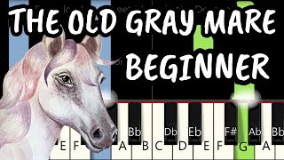 The Old Gray Mare | Piano Practice Track | The Music Educator