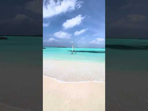 “A Day in