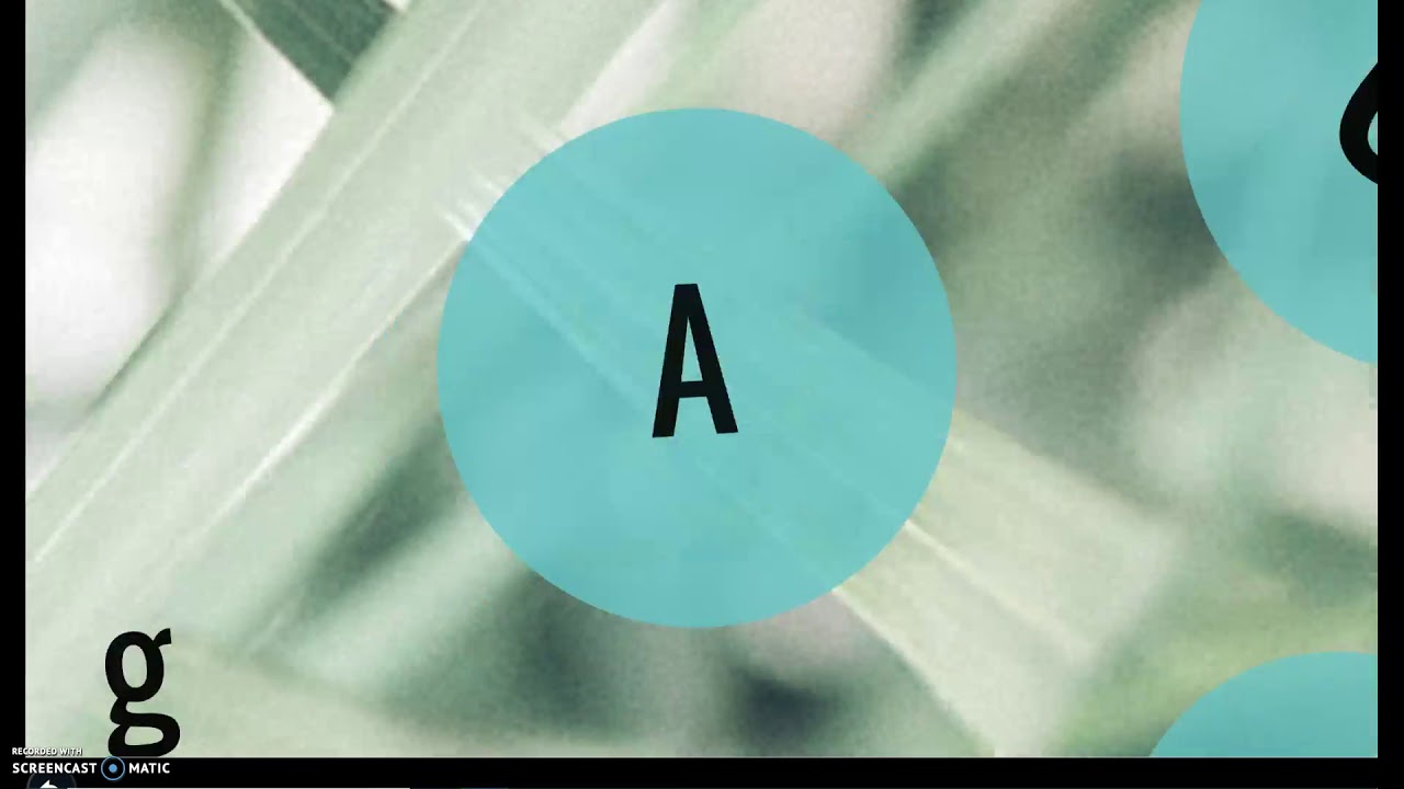 Parrots Over Puerto Rico Summary Parrots Over Puerto Rico Summary