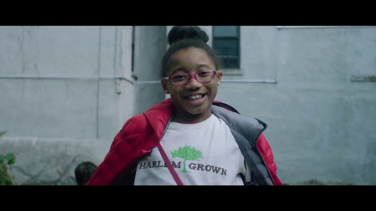 Harlem Grown and Community Food Systems || Food and Sustainability