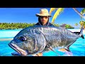 Une FIN TRAGIQUE Pour La CAPTURE De Ce POISSON MYTHIQUE Pêche Exo à Rangiroa Pêche Fishing Une FIN TRAGIQUE Pour La CAPTURE De Ce POISSON MYTHIQUE Pêche Exo à Rangiroa Pêche Fishing