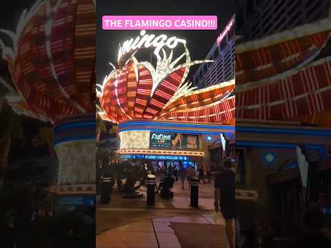 playing money bag 💰 at Kickapoo casino high roller