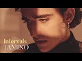 Tamino - Intervals (lyrics)