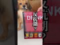 コインを落として入ったドリンクを当てさせたらズルしすぎた！